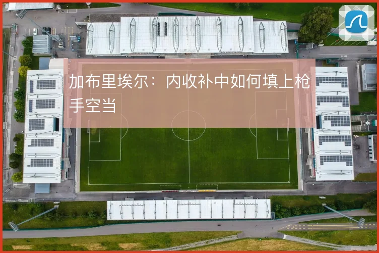 加布里埃尔:内收补中如何填上枪手空当